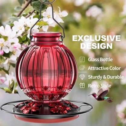 🌺 Vibrant Glass Hummingbird Feeder - 26oz Leakproof Bird Waterer with 5 Perch Stations  🐦