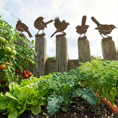 🐦🐦5-Piece Lifelike Rusty Metal Bird Silhouettes Garden Art